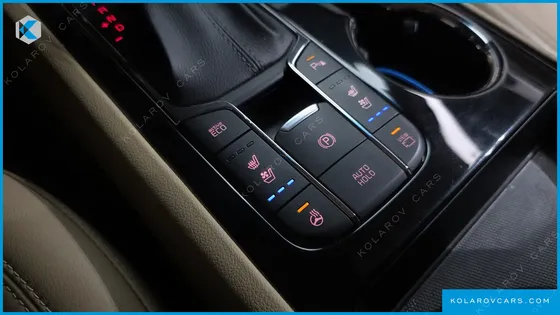 KIA CARNIVAL 9-SEATER NOBLESSE SPECIAL
