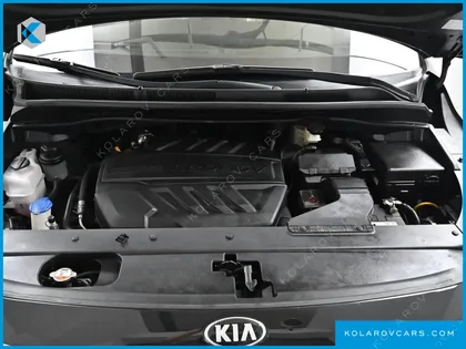 KIA CARNIVAL 9-SEATER NOBLESSE SPECIAL