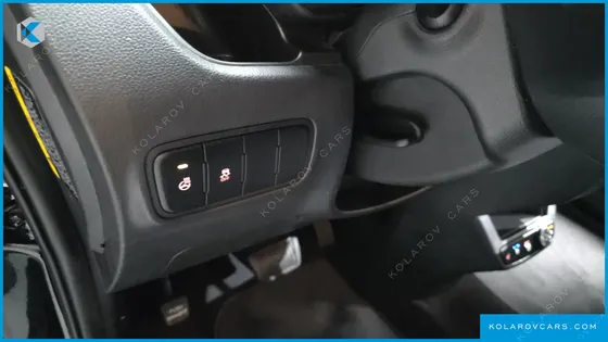 KIA RAY SIGNATURE