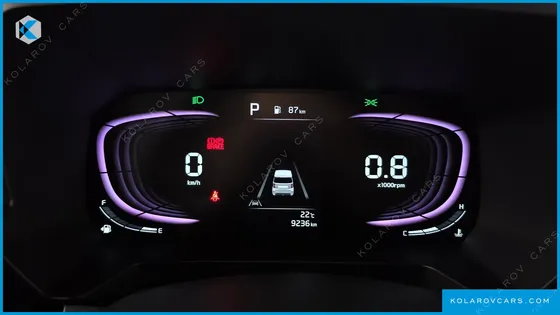 KIA RAY SIGNATURE