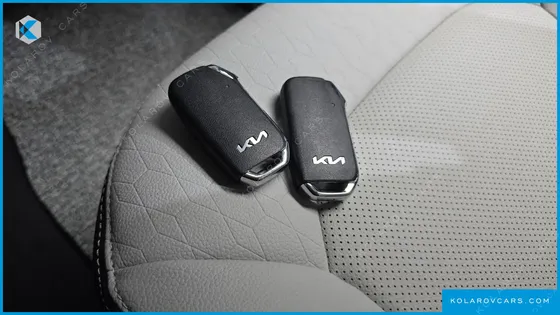 KIA RAY SIGNATURE