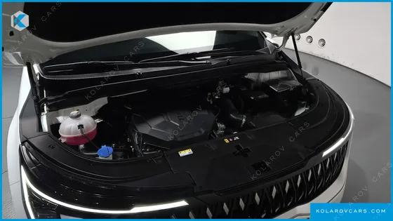 KIA CARNIVAL DIESEL 7-SEATER SIGNATURE