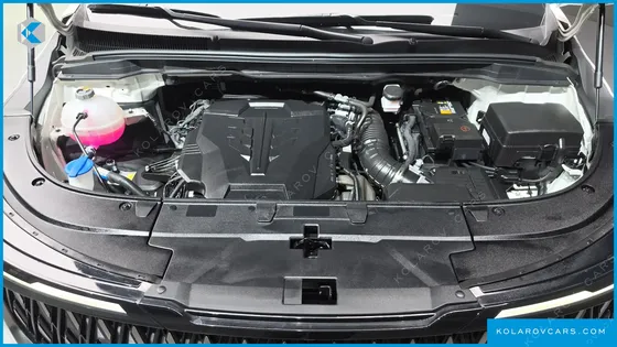 KIA CARNIVAL GASOLINE 7-SEATER HI LIMOUSINE