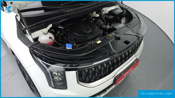 KIA CARNIVAL DIESEL 9-SEATER NOBLESSE