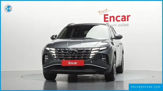 HYUNDAI TUCSON DIESEL 2.0 2WD