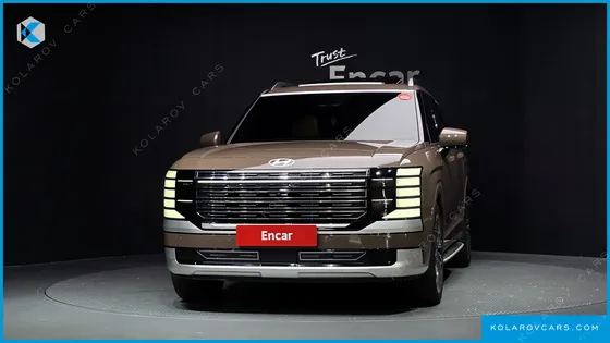 HYUNDAI PALISADE GASOLINE 2.5T 2WD 9-SEATER