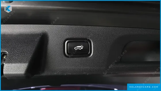 HYUNDAI PALISADE GASOLINE 3.8 2WD