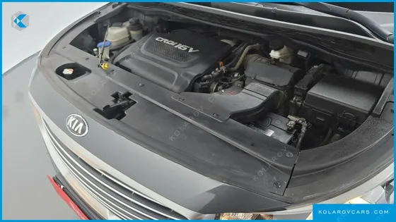 KIA CARNIVAL 9-SEATER LUXURY