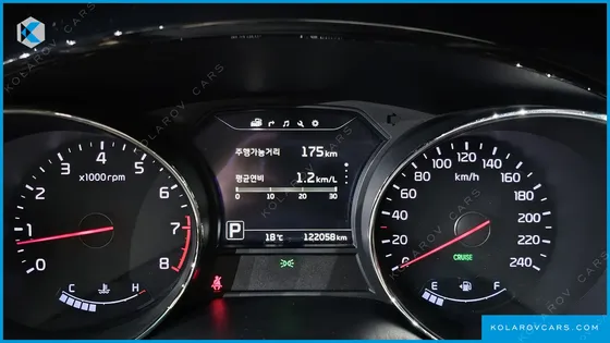 KIA CARNIVAL GASOLINE 9-SEATER NOBLESSE