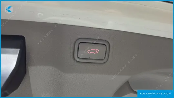 KIA CARNIVAL 9-SEATER NOBLESSE SPECIAL