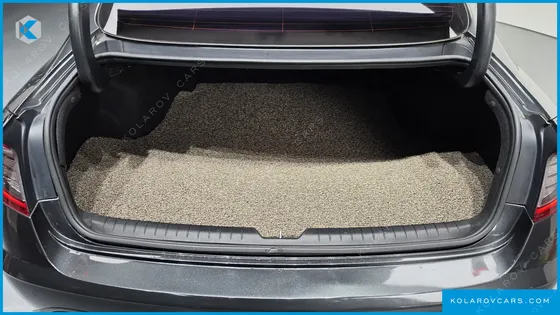 HYUNDAI SONATA 2.0 LPG(RENTAL CAR)