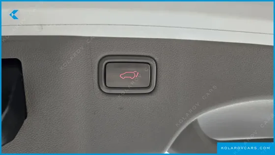 KIA CARNIVAL 9-SEATER NOBLESSE