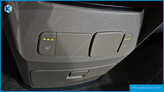 KIA CARNIVAL 9-SEATER LUXURY