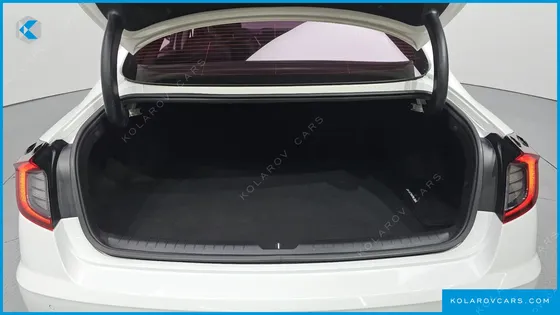 HYUNDAI SONATA 2.0 LPG(RENTAL CAR)