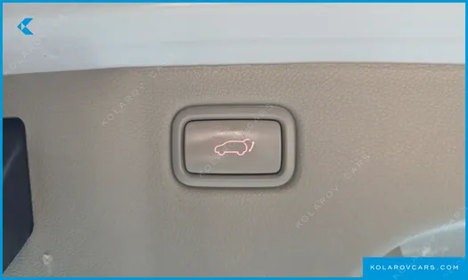 KIA CARNIVAL 9-SEATER NOBLESSE