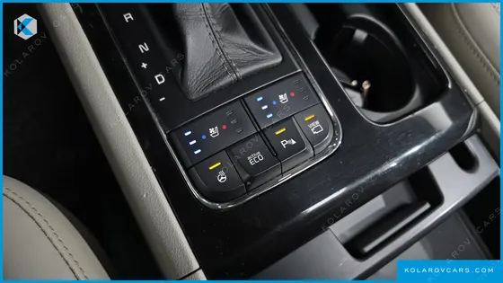 KIA CARNIVAL 9-SEATER NOBLESSE