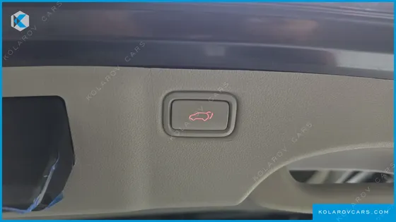 KIA CARNIVAL 9-SEATER NOBLESSE