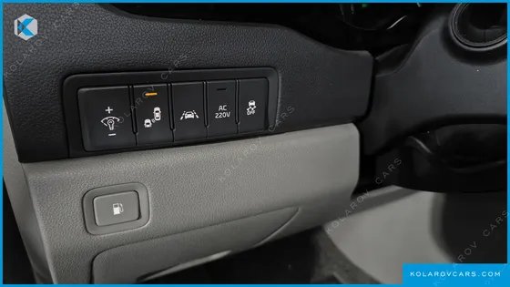KIA CARNIVAL 9-SEATER NOBLESSE