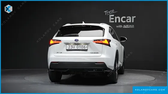 LEXUS NX SUPREME
