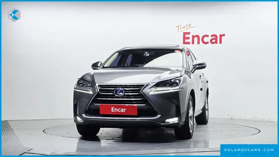 LEXUS NX EXECUTIVE