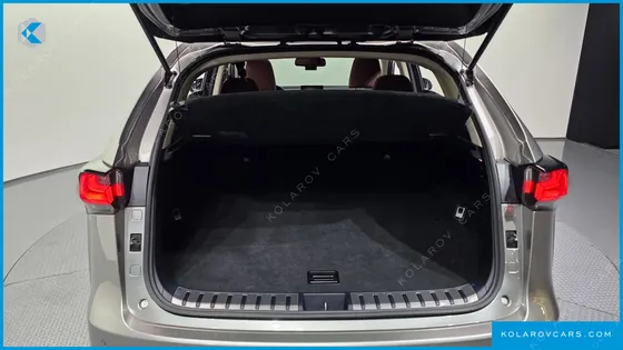 LEXUS NX SUPREME