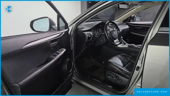 LEXUS NX EXECUTIVE