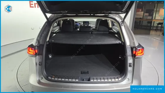 LEXUS NX EXECUTIVE