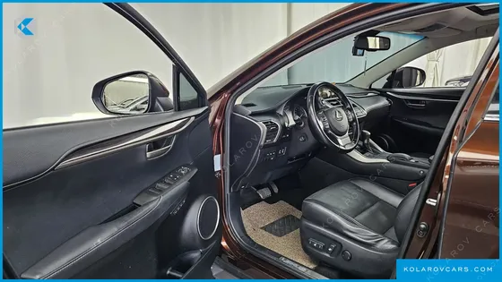 LEXUS NX EXECUTIVE