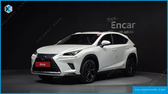 LEXUS NX EXECUTIVE
