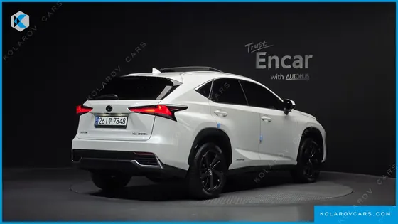 LEXUS NX EXECUTIVE