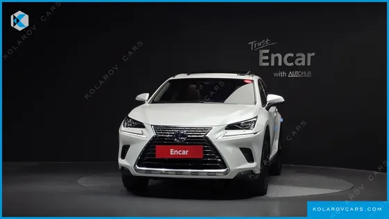 LEXUS NX EXECUTIVE
