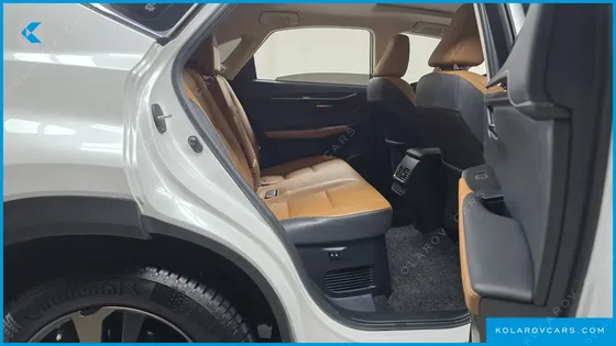 LEXUS NX EXECUTIVE