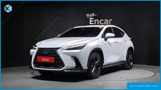 LEXUS NX PREMIUM