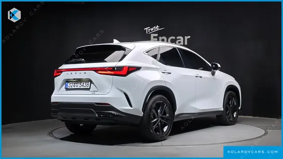 LEXUS NX PREMIUM