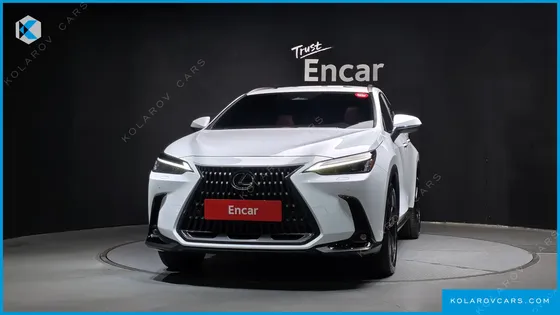 LEXUS NX PREMIUM