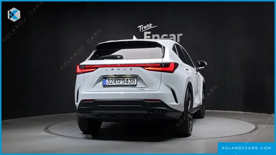 LEXUS NX PREMIUM