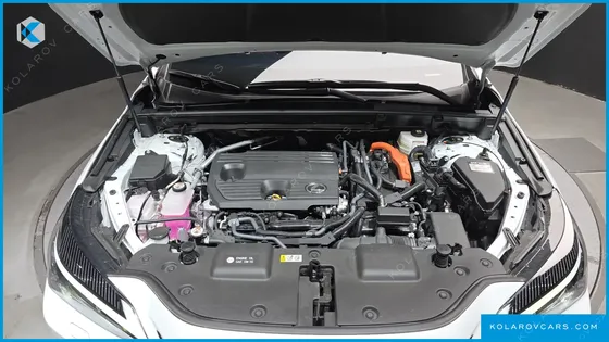 LEXUS NX PREMIUM
