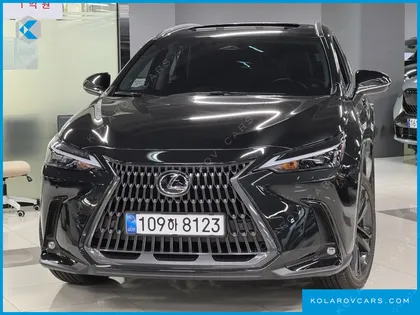 LEXUS NX PREMIUM
