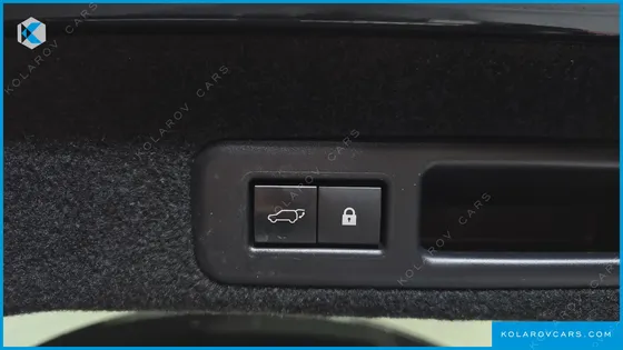 LEXUS RX EXECUTIVE
