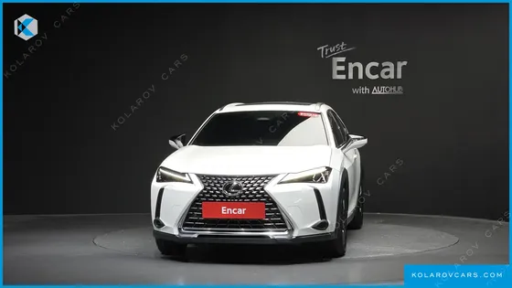 LEXUS UX 2.0 2WD