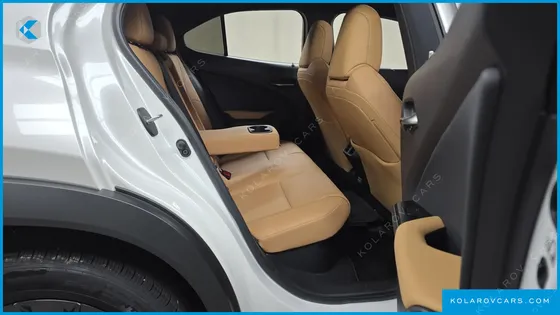 LEXUS UX 2.0 2WD
