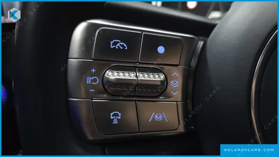 GENESIS GV60 PERFORMANCE AWD