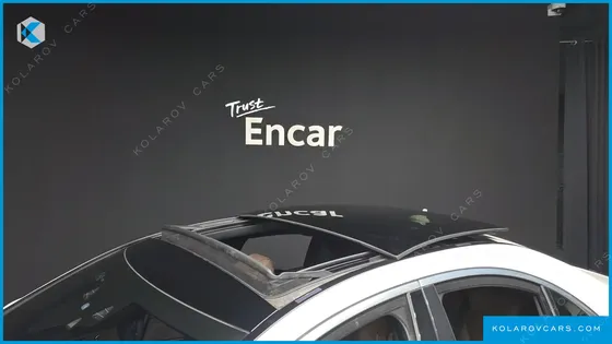 MERCEDES S-CLASS S350 BLUE TEC