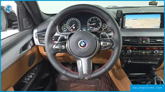 BMW X6 XDRIVE 30D VISION 100 EDITION