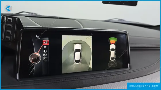 BMW X6 XDRIVE 30D VISION 100 EDITION