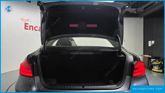 BMW 5 SERIES 520I LUXURY