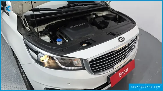 KIA CARNIVAL 9-SEATER LUXURY