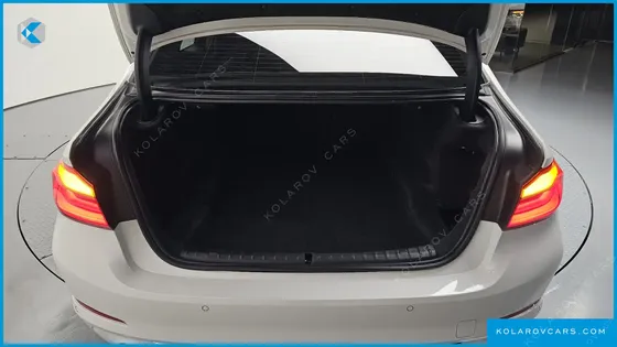 BMW 5 SERIES 530I LUXURY PLUS