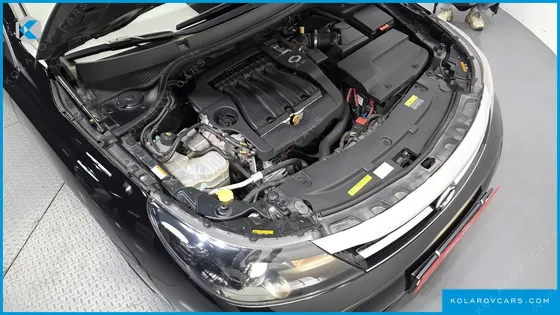 RENAULT KOREA SM5 LPLI HANDICAPPED