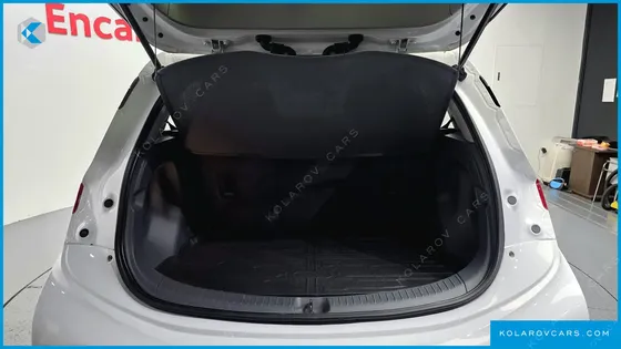 CHEVROLET (GM DAEWOO) BOLT EV EV LT DLX